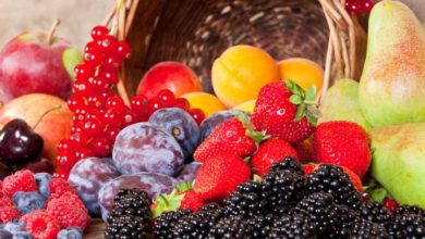 آنتی اکسیدان چیست-سایت خبری ازدیدما