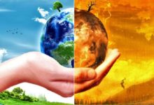 تاثیرجنگل ها برآب وهوا-سایت خبری ازدیدما