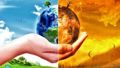 تاثیرجنگل ها برآب وهوا-سایت خبری ازدیدما