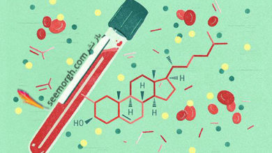 کلسترول -سایت خبری ازدیدما