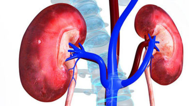 بیماری های کلیه -سایت خبری ازدیدما