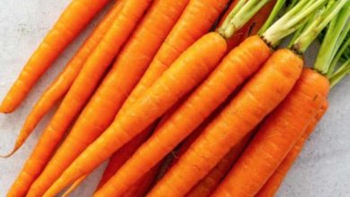 خاصیت هویج -سایت خبری ازدیدما