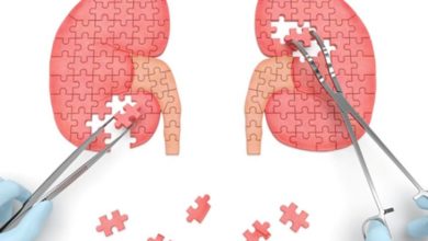 پیشگیری از بیماری های کلیه -سایت خبری ازدیدما