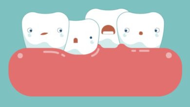 دندان -سایت خبری ازدیدما