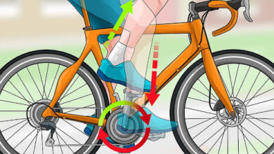 دوچرخه سواری -سایت خبری ازدیدما