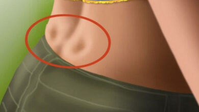 چال کمر -سایت خبری ازدیدما